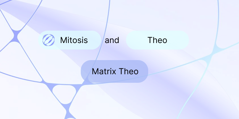 Гид по кампании Matrix Theo