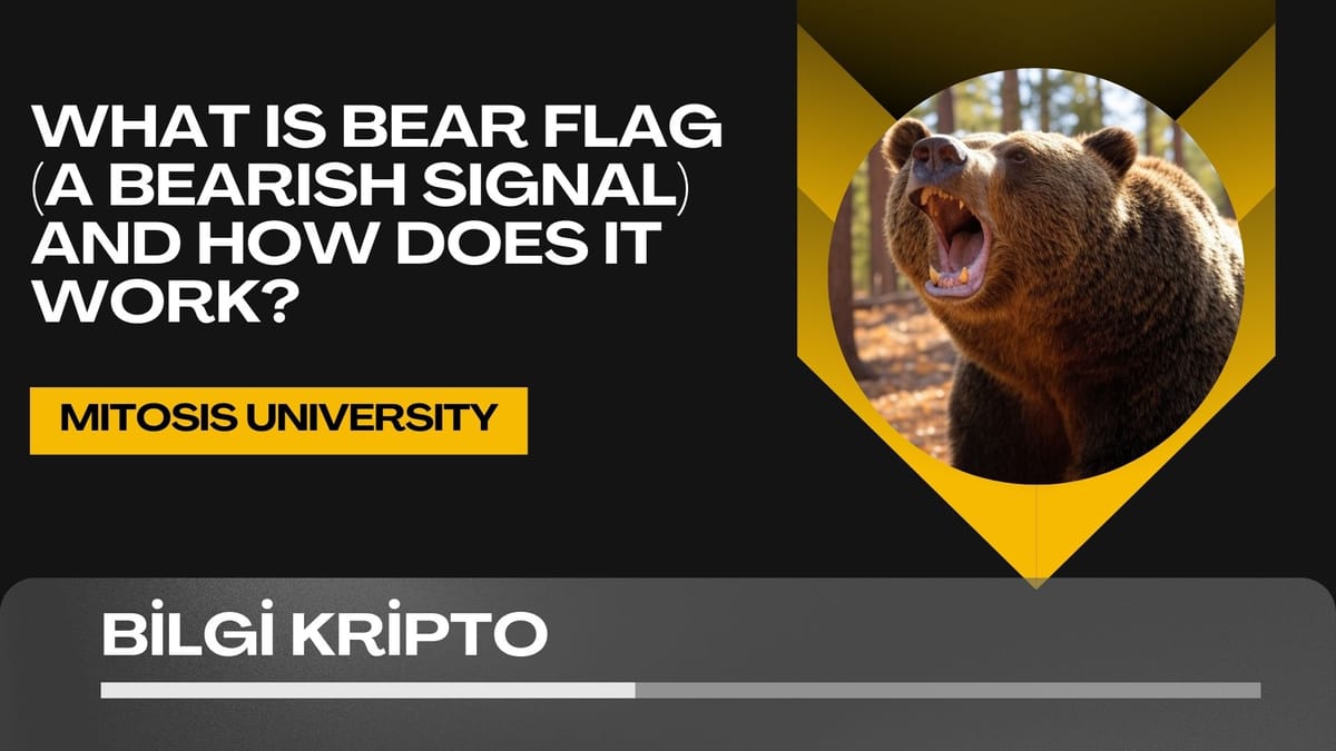 What is Bear Flag (A Bearish Signal) and How Does It Work?