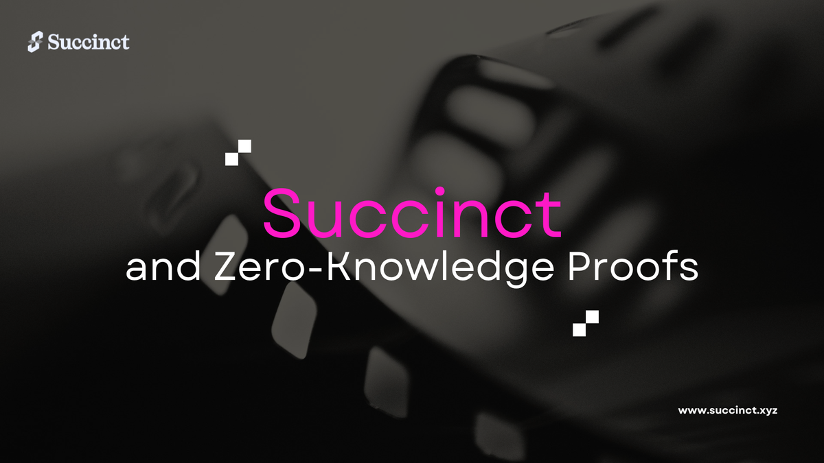 Succinct Labs and Zero-Knowledge Proofs