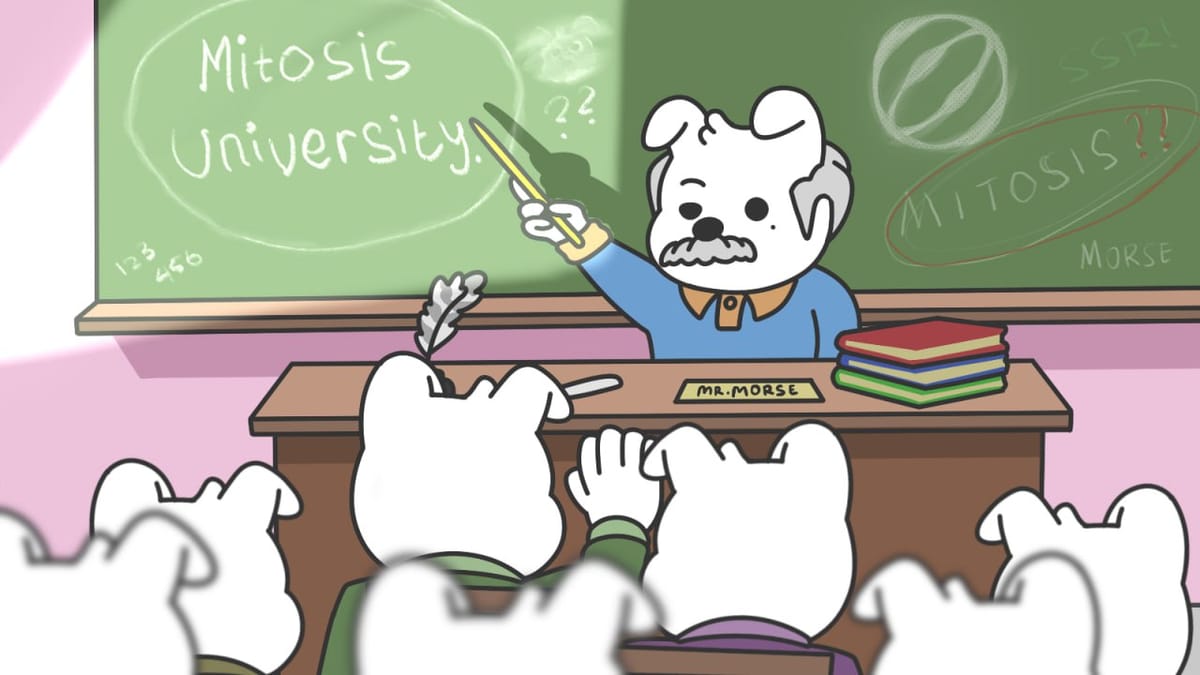 Decoding Mitosis: A Deep Technical Dive into EOL, Matrix Vaults & Cross-Chain Primitives