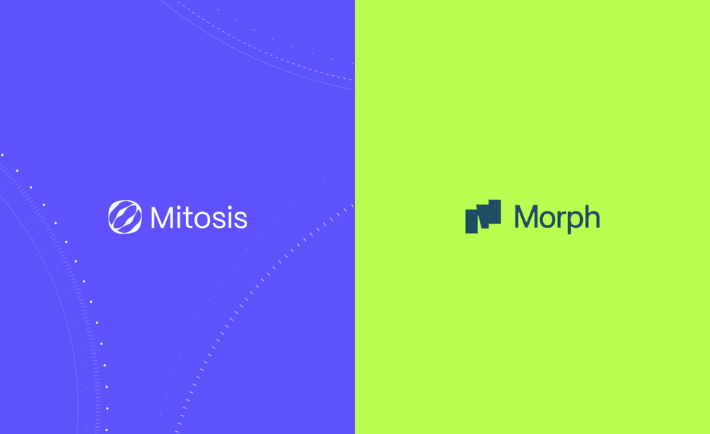 Mitosis and Morph: A Strong Fit for Matrix Vaults in DeFi