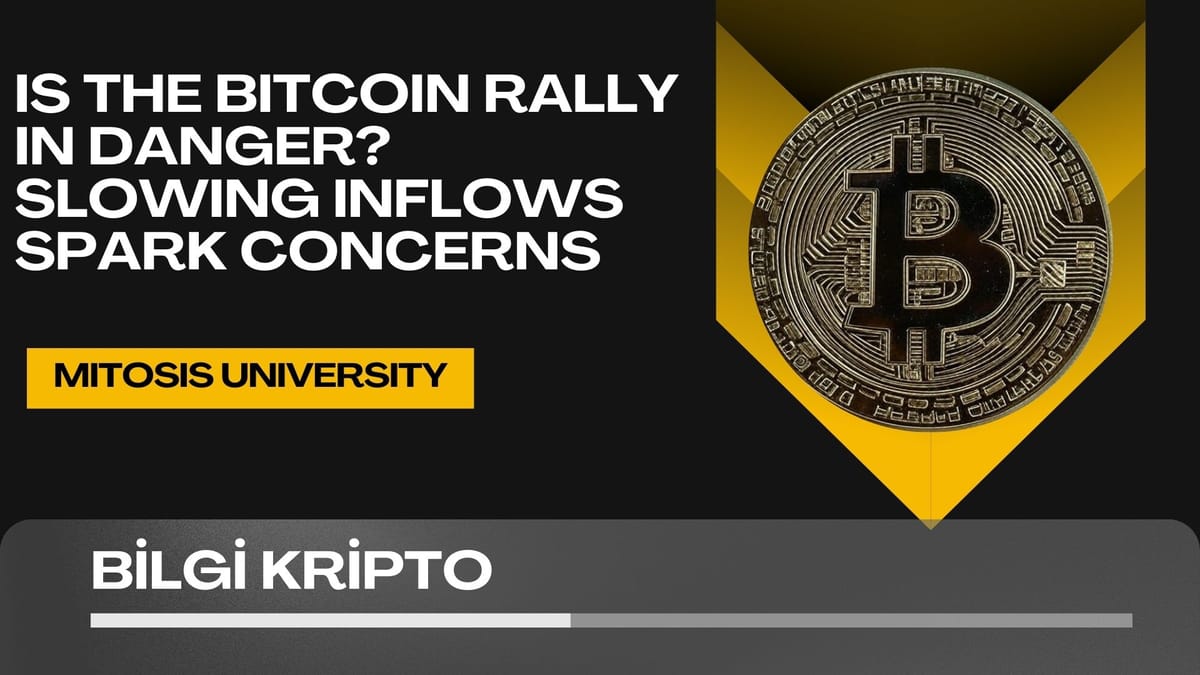 Is the Bitcoin Rally in Danger? Slowing Inflows Spark Concerns