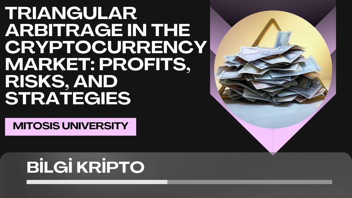 Triangular Arbitrage in the Cryptocurrency Market: Profits, Risks, and Strategies