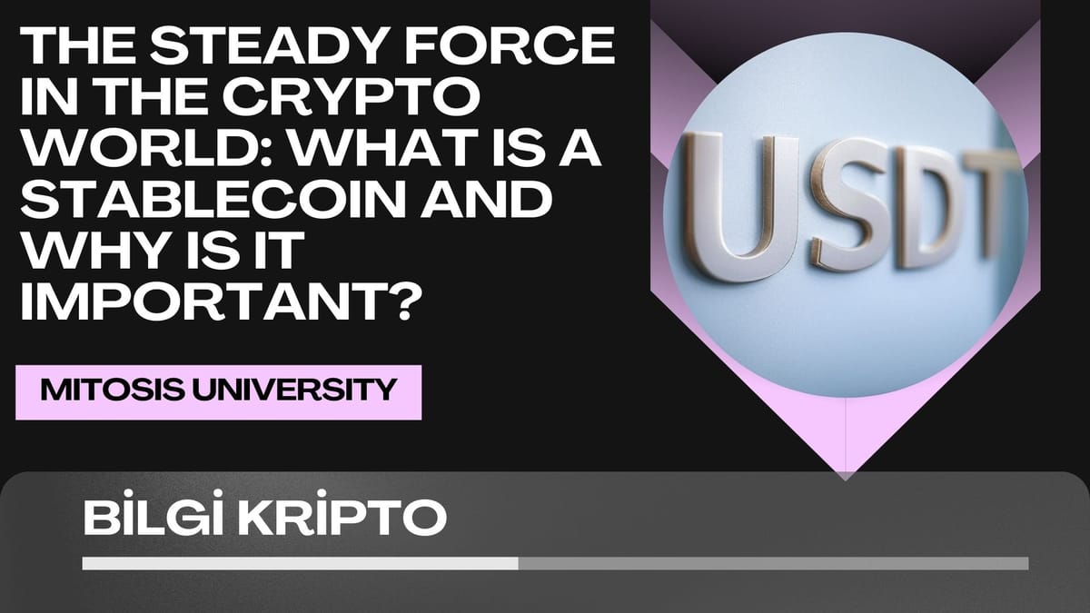 The Steady Force in the Crypto World: What is a Stablecoin and Why is it Important?