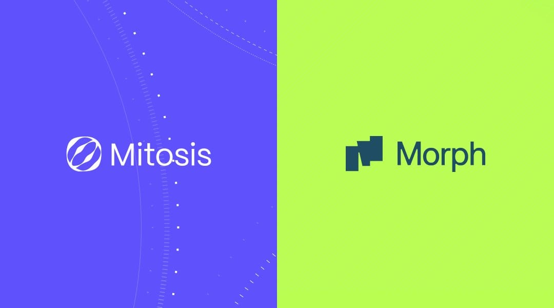 Mitosis і Morph: гібридні роллапи, зручний DeFi та винагороди за лояльність