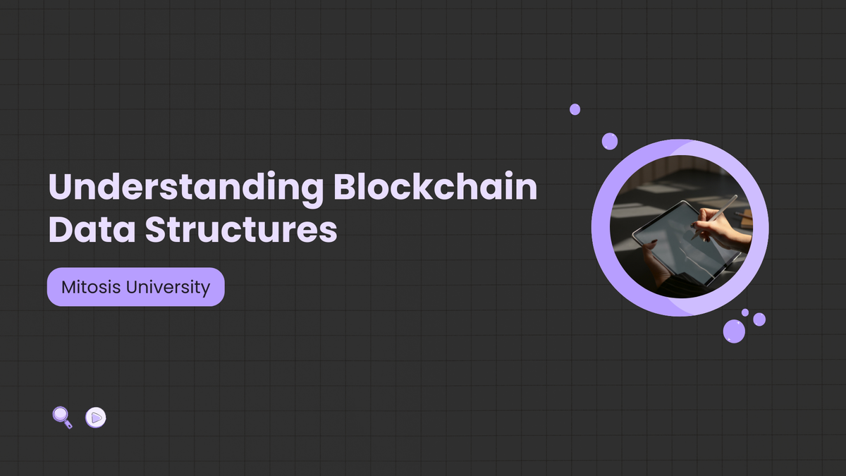 Understanding Blockchain Data Structures