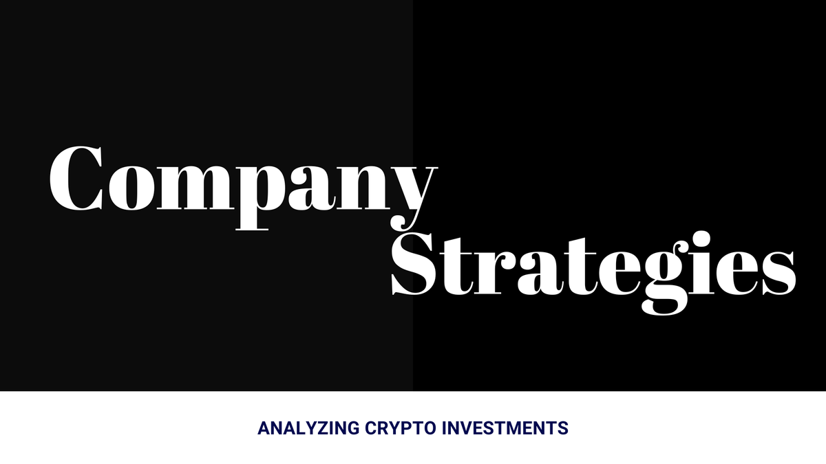 Company Strategies: Analyzing Crypto Investments