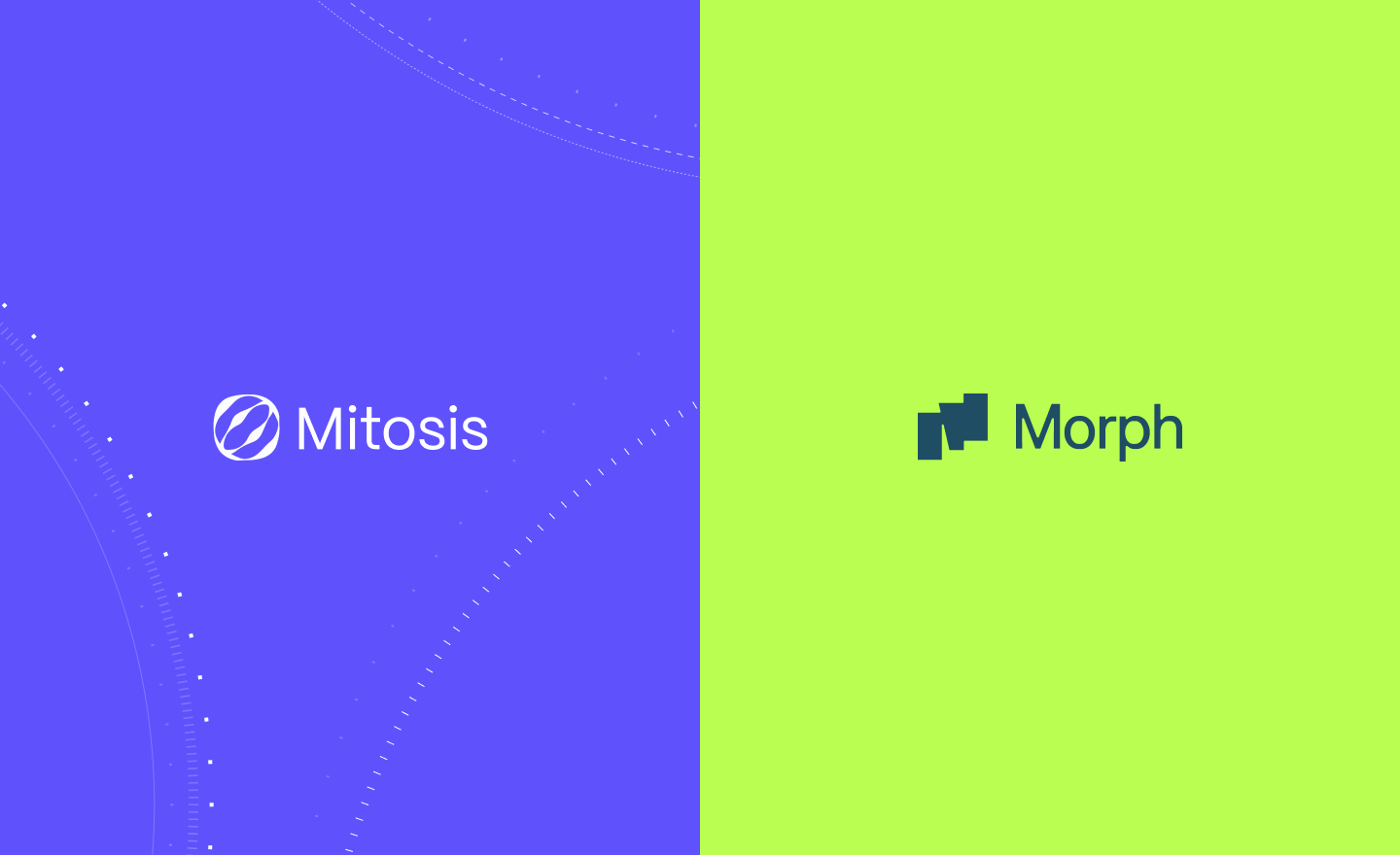 Zootosis: Mitosis Matrix Vaults Launch on Morph L2 to Redefine DeFi Liquidity