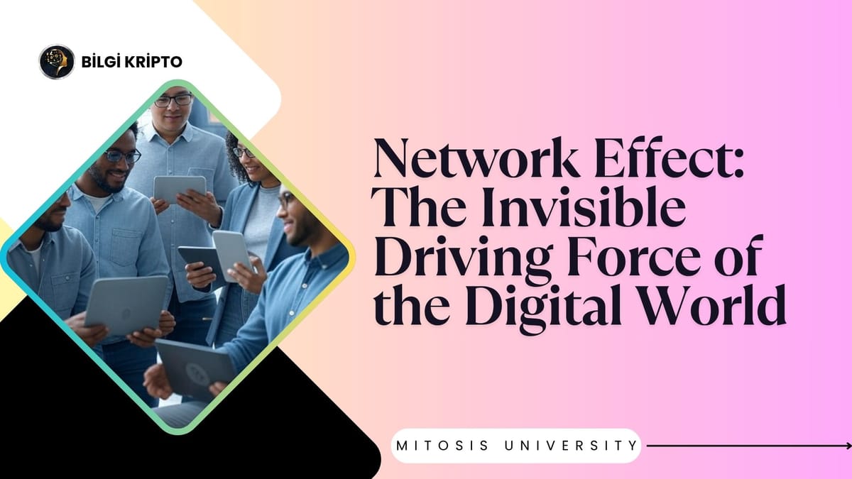 Network Effect: The Invisible Driving Force of the Digital World