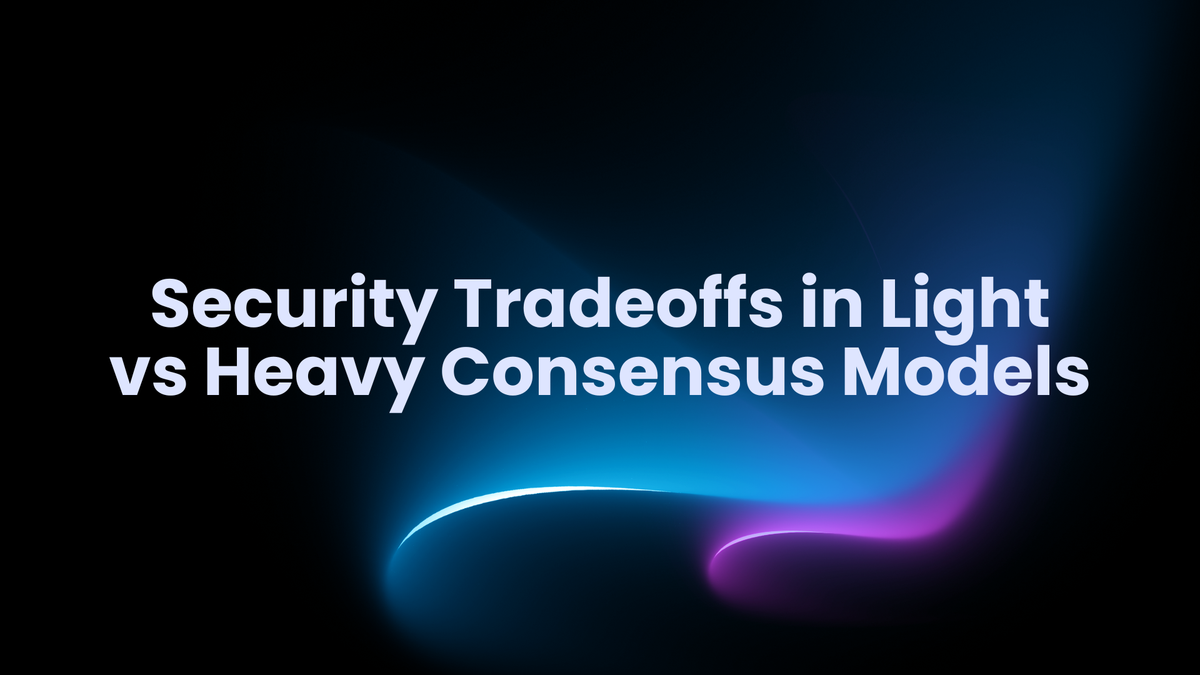 Security Tradeoffs in Light vs Heavy Consensus Models