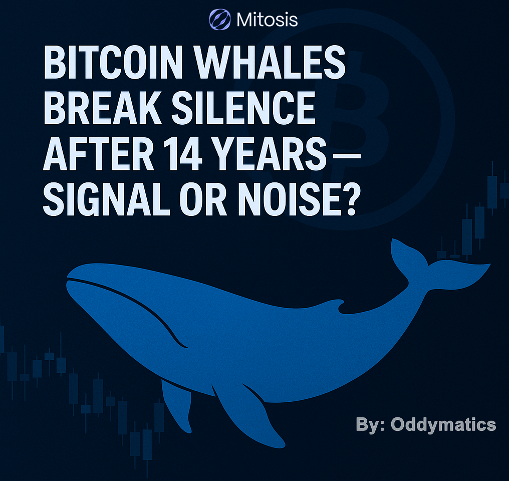 Bitcoin Whales Break Silence After 14 Years-Signal or Noise?