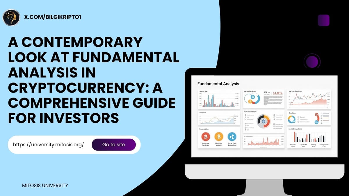 A Contemporary Look at Fundamental Analysis in Cryptocurrency: A Comprehensive Guide for Investors