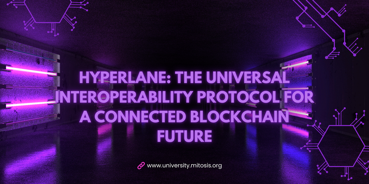 Hyperlane: The Universal Interoperability Protocol for a Connected Blockchain Future
