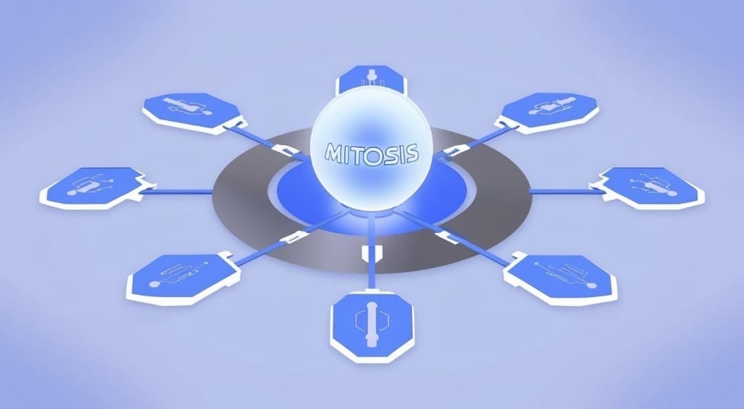 The Difference Between EOL and Matrix Vaults Explained Simply