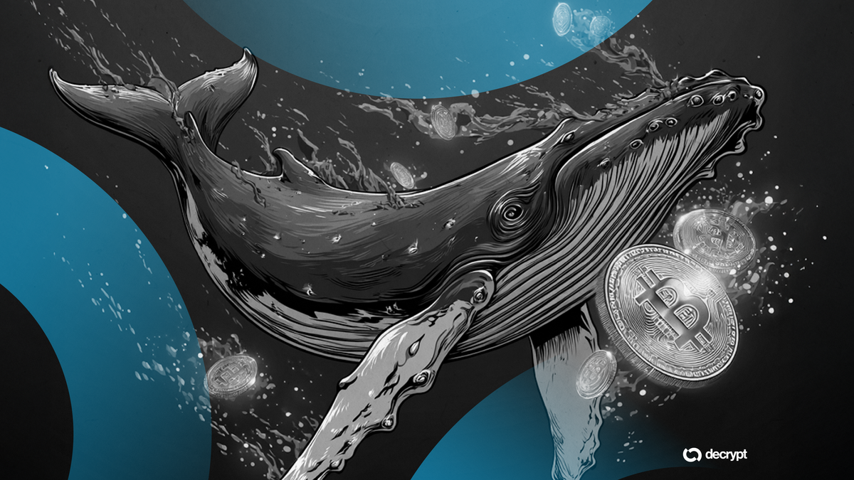Whales Are Moving BTC After 14 Years: What Does It Mean?