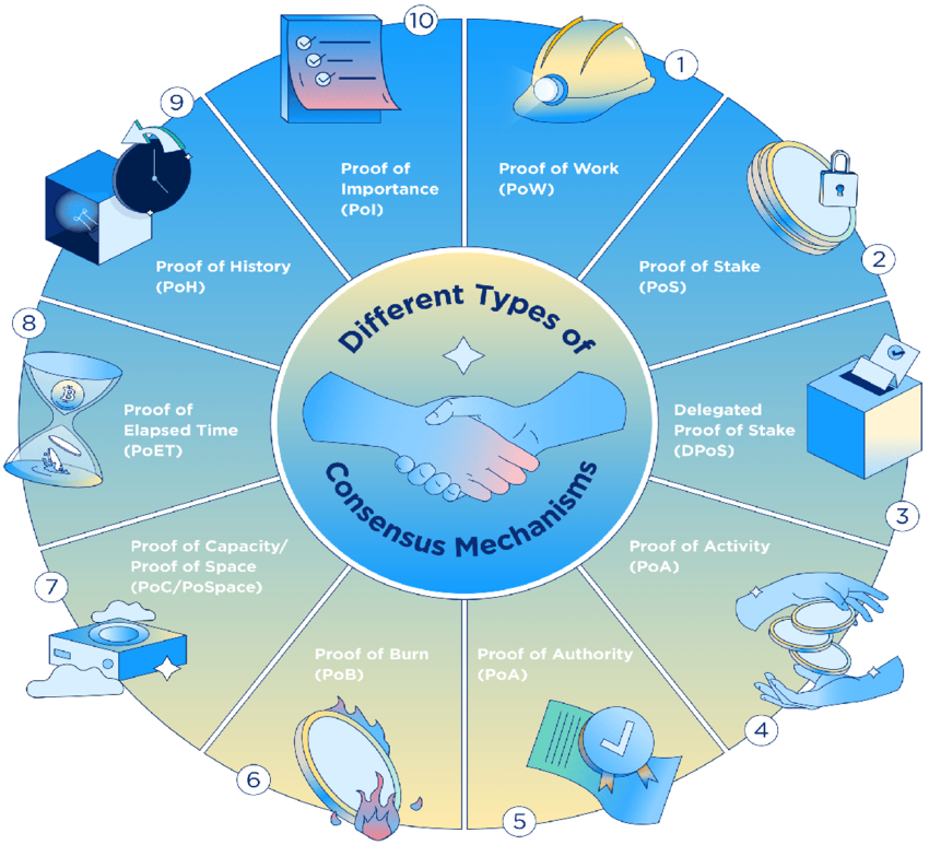What are Consensus Mechanisms in blockchain and cryptocurrency?