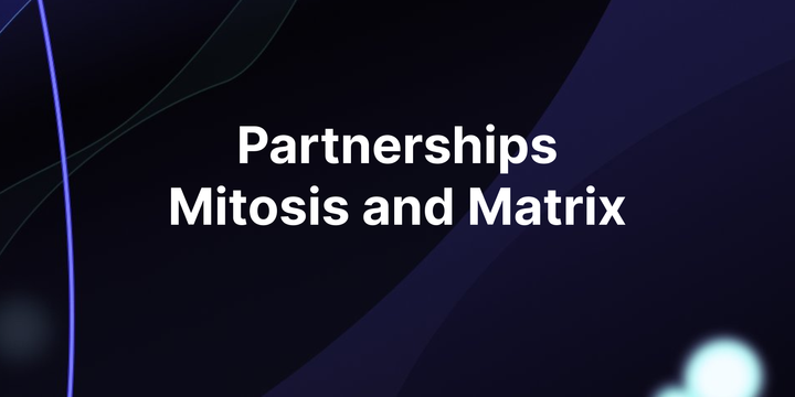 Matrix and Mitosis collaboration: functionality, how it works, and development prospects