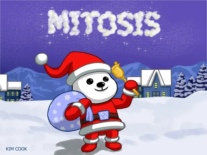 Mitosis Introductory image - Santa Morse Art by KIM COOK