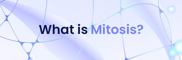 Detailed Analysis of Mitosis and Its Role in DeFi