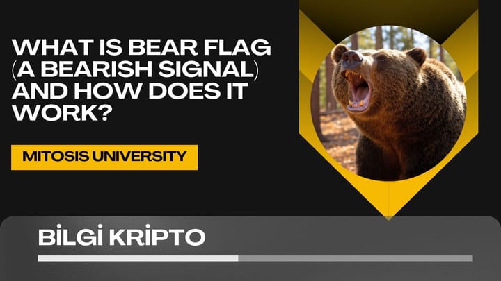 What is Bear Flag (A Bearish Signal) and How Does It Work?