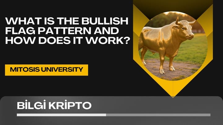 What is the Bullish Flag Pattern and How Does it Work?