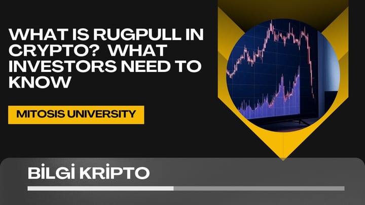 What is Rugpull in Crypto? – What Investors Need to Know