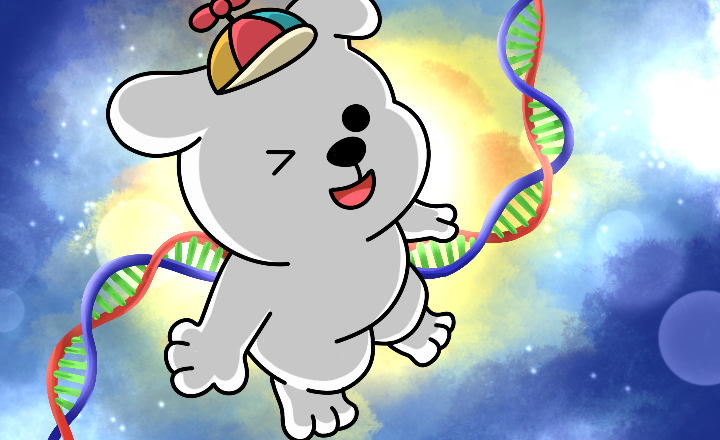 Mitosis DNA Model: How MITO, gMITO, & LMITO Align Incentives for Sustainable Ecosystem Growth