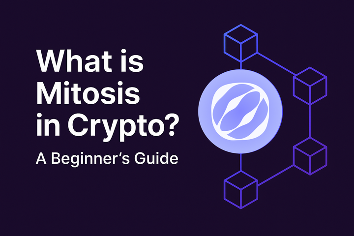 Mitosis is the first chain designed specifically to make liquidity an ecosystem-wide, programmable asset and not a protocol-by-protocol burden.