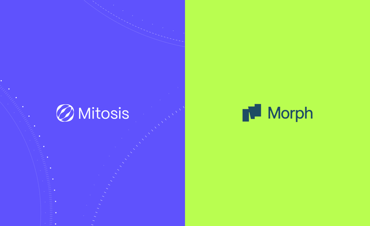 Mitosis and Morph: A Strong Fit for Matrix Vaults in DeFi