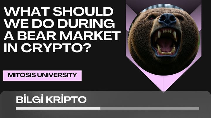 What Should We Do During a Bear Market in Crypto? Ways to Profit When the Market Falls!