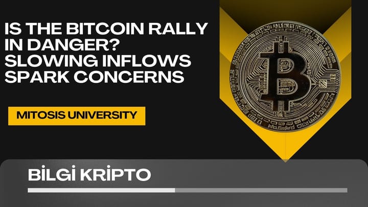 Is the Bitcoin Rally in Danger? Slowing Inflows Spark Concerns