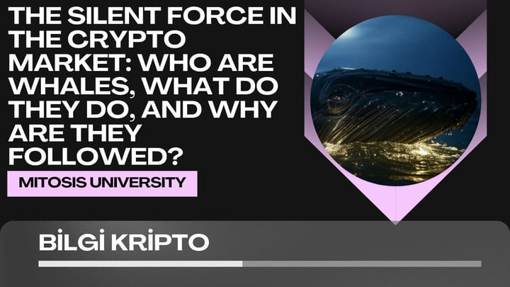 The Silent Force in the Crypto Market: Who Are Whales, What Do They Do, and Why Are They Followed?