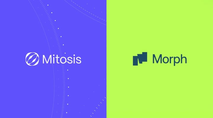 Mitosis і Morph: гібридні роллапи, зручний DeFi та винагороди за лояльність