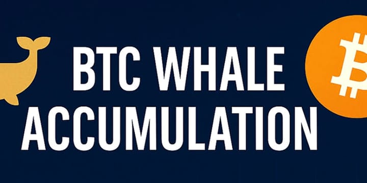 Whale Accumulation Alert: On-Chain Metrics Signal Renewed Institutional Bitcoin Demand