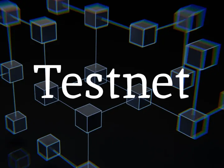 Understanding Testnets: The Backbone of Blockchain Innovation, Community Rewards, and Project Success