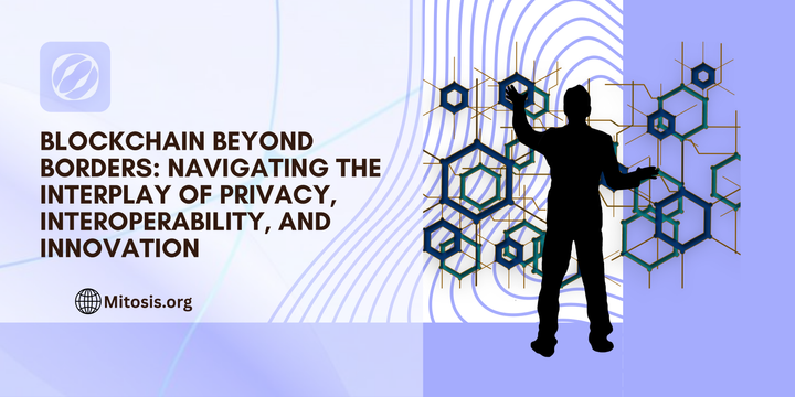 Blockchain Beyond Borders: Navigating the Interplay of Privacy, Interoperability, and Innovation
