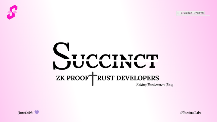 Succinct SP1 zkVM: Zero Knowledge Proofs Should be Accessible to Rust Developers.