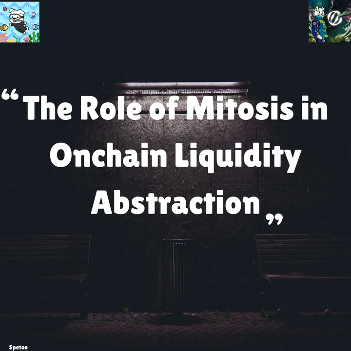 The Role of Mitosis in Onchain Liquidity Abstraction.