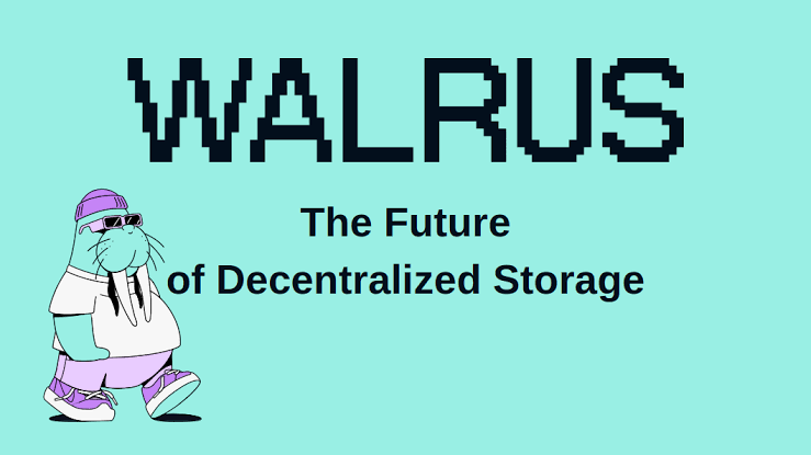 Walrus: Redefining Decentralized Storage with Red Stuff Encoding