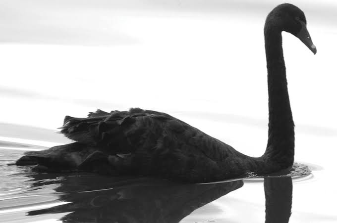 The Most Likely Black Swan to End the 2025 Crypto Bull Run: A Leverage-Driven Systemic Breakdown