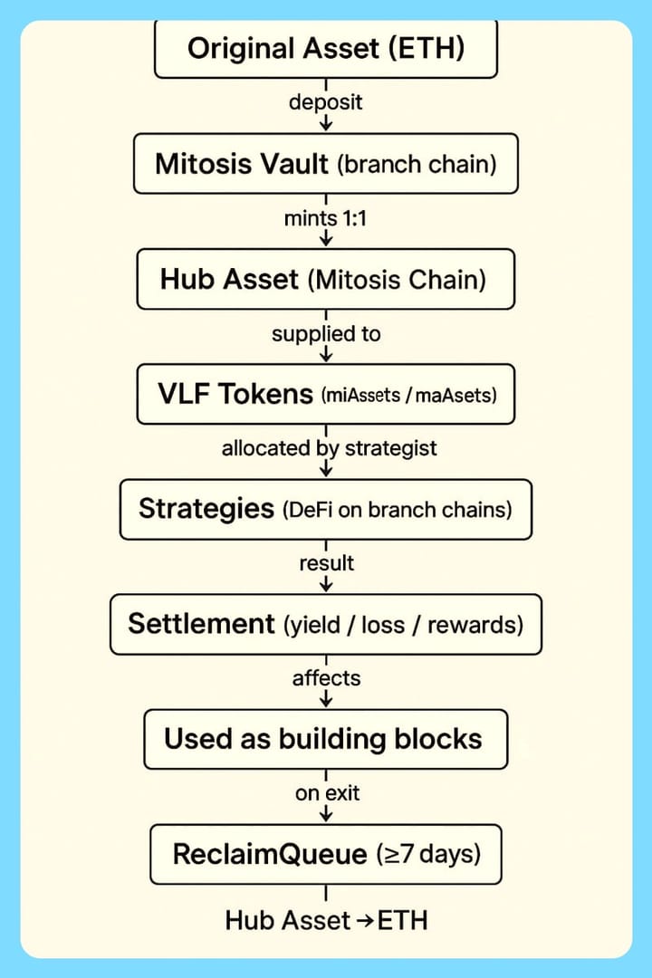 How Programmable Liquidity Works in Mitosis: Transforming DeFi's Frozen Assets into Flowing Capital