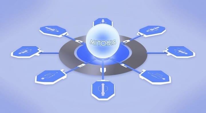 The Difference Between EOL and Matrix Vaults Explained Simply