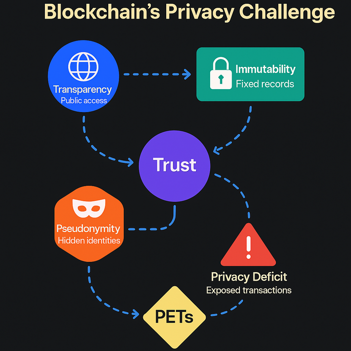 From Open Ledgers to Hidden Transactions: Blockchain’s Privacy Challenge