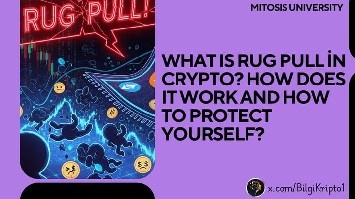 What Is Rug Pull in Crypto? How Does It Work and How to Protect Yourself?