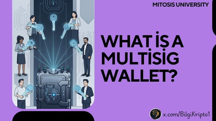 What is a Multisig Wallet?